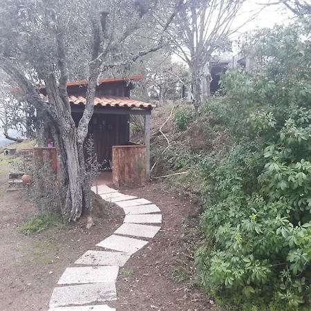 Cabana Da Oliveira Marco de Canaveses Exterior photo