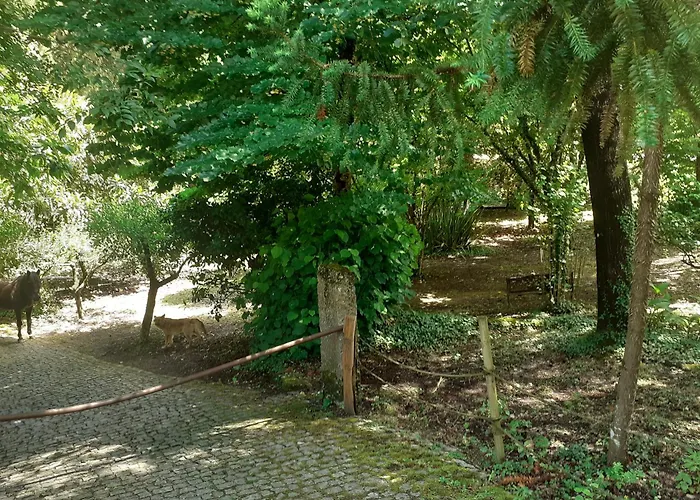 Cabana Da Oliveira