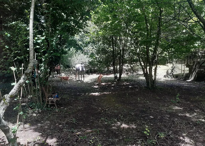 Cabana Da Oliveira