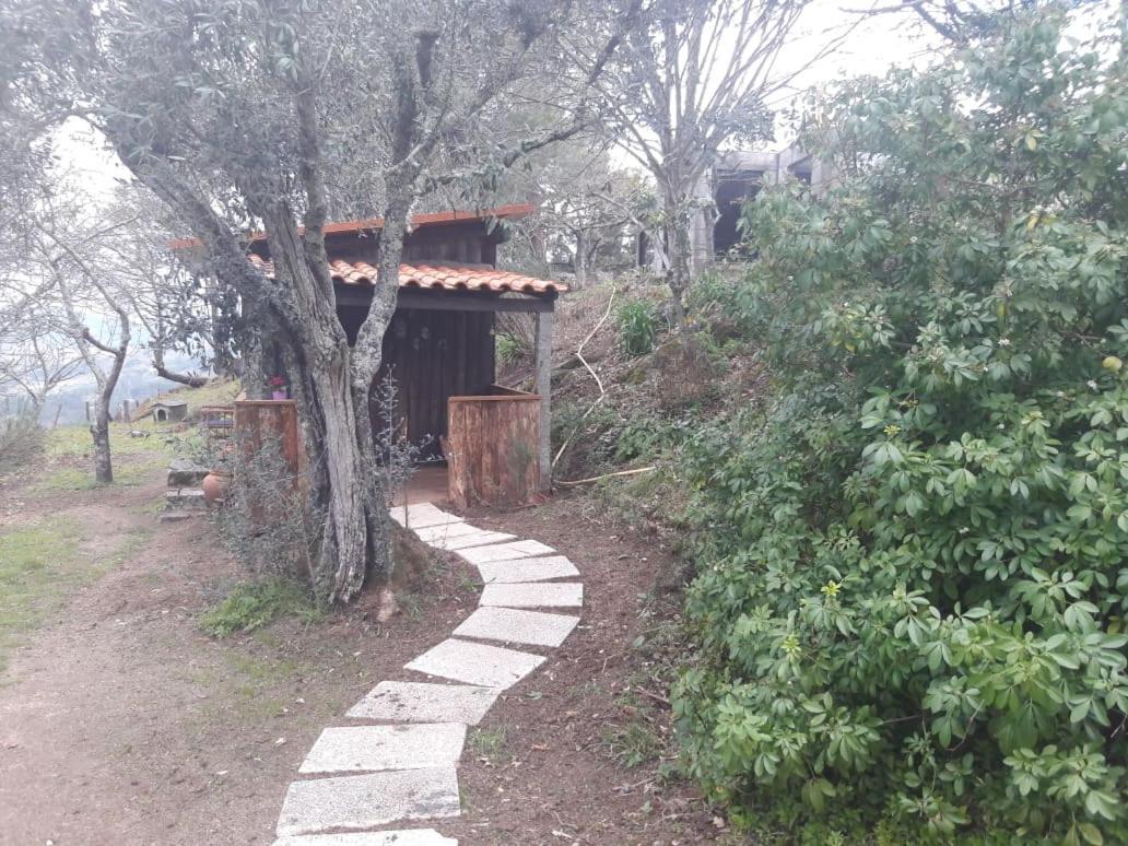 Da Oliveira