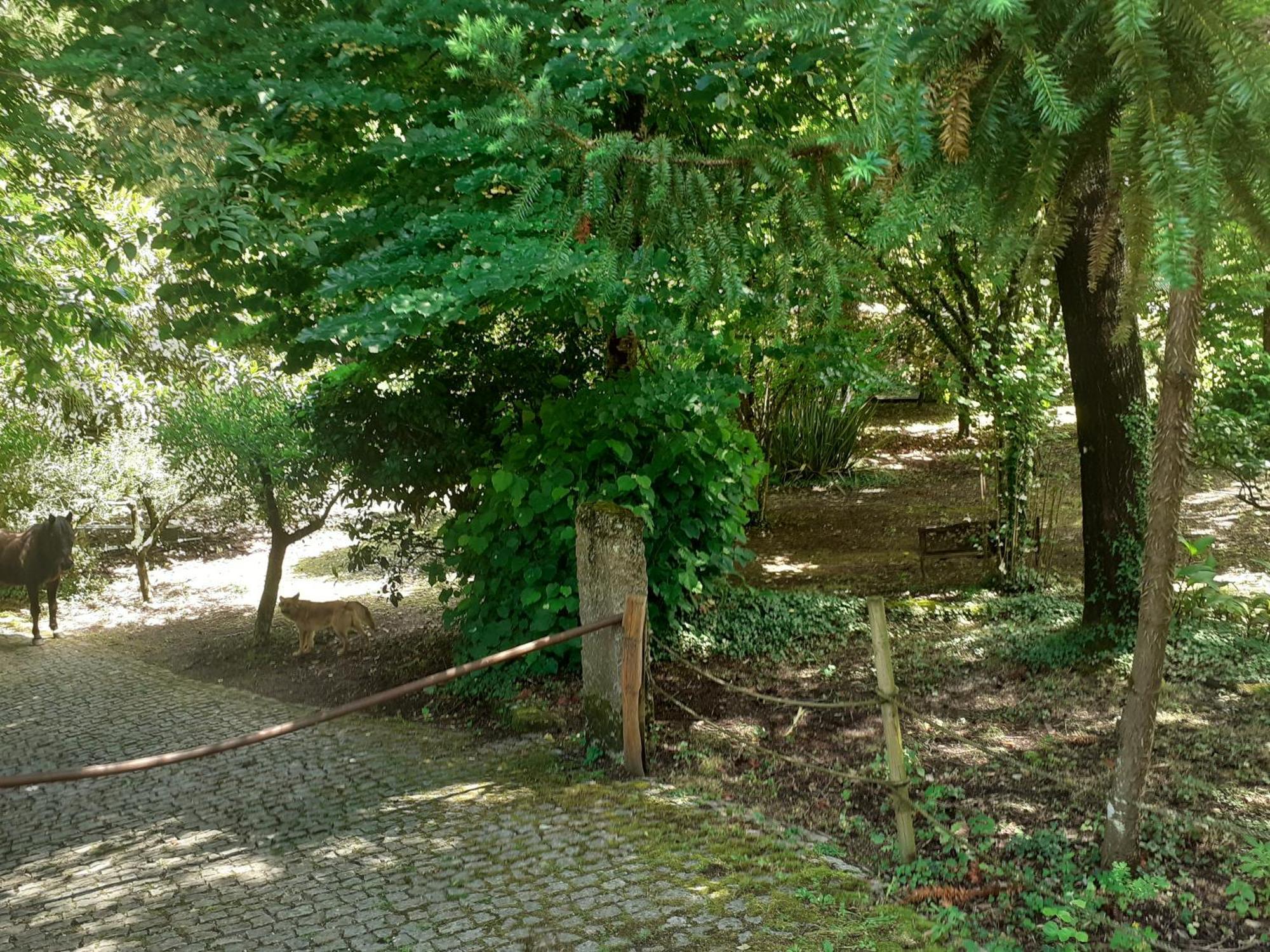 Chalet Da Oliveira Marco de Canaveses